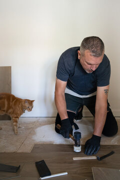 A cat overseeing new floor is being installed