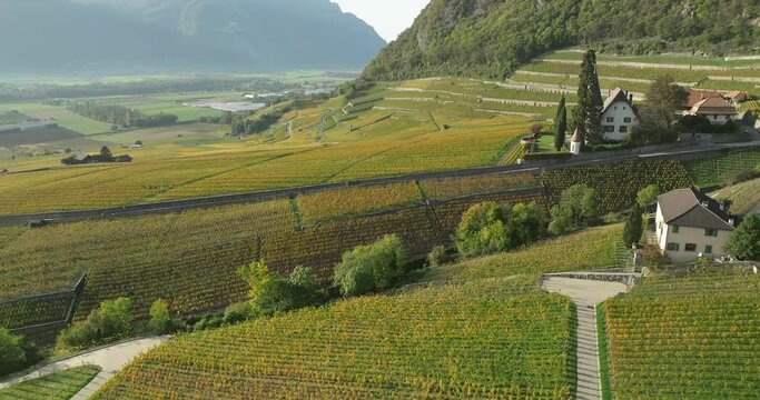 Drone shots of Swiss vineyards in autumn