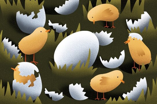 Chicks hatch from eggs