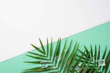 Summer garden concept. Top view flat lay of green palm leaves on divided white teal background with copyspace for text or advert