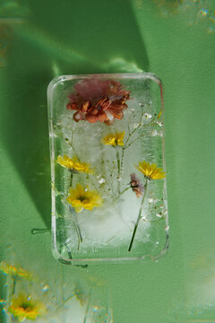 Beautiful flowers frozen in an ice block. Summer cooling concept