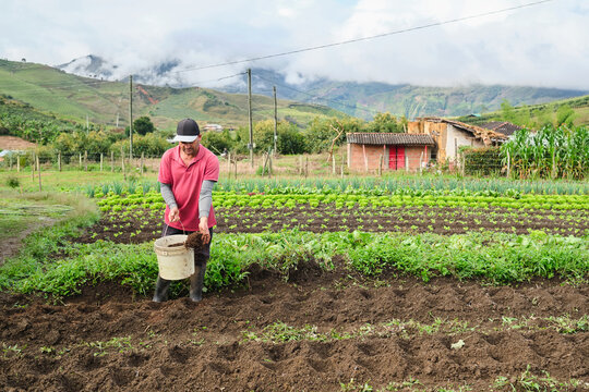 Farmer fertilizing the soil