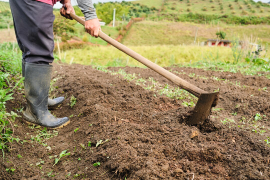 Man plowing the land