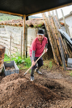 Mature man working with manure