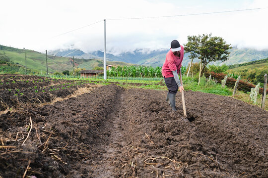 Farmer plowing the land