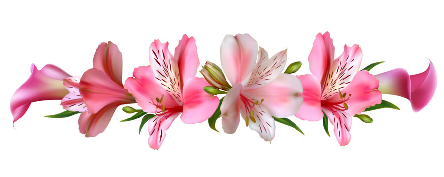 Lilies. Background. Bouquet. Buds. Green leaves. Beautiful pink flowers.