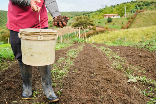 Farmer fertilizing the soil