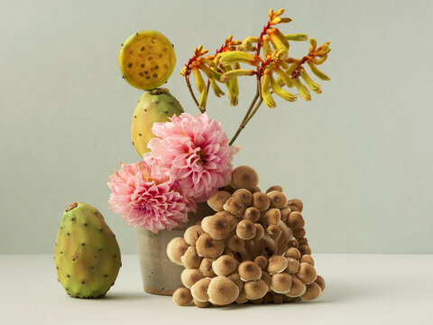 Nature trend color palette