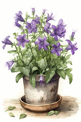 Botanical Watercolor Illustration of Bellflower in Pot. Generative AI