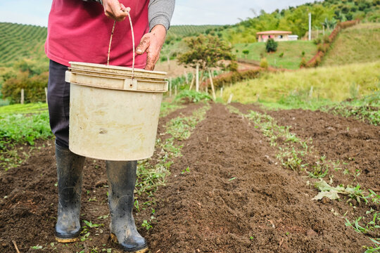 Farmer working on a crop