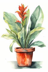 Botanical Watercolor Illustration of Canna Lily in Pot. Generative AI