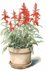 Fototapeta na wymiar Botanical Watercolor Illustration of Cardinal Flower in Pot. Generative AI