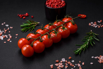 Delicious fresh cherry tomatoes on a twig on a dark concrete background