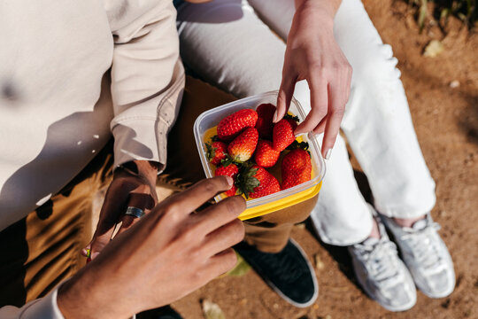 Bowl with strawberries