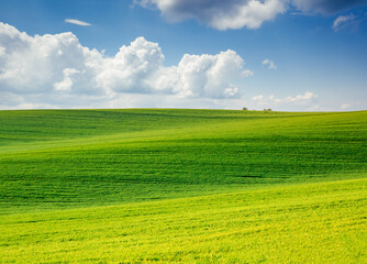 Gorgeous undulating green fields and cultivated land on a sunny day. South Moravia region, Czech Republic, Europe.