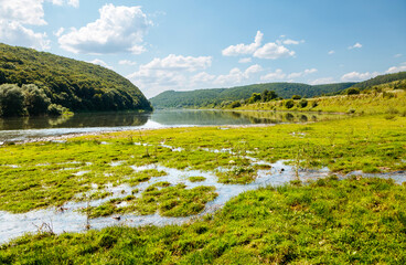 Fototapeta premium A wonderful view of a green meadow near the river on a sunny day.