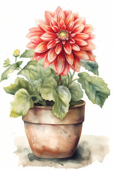 Botanical Watercolor Illustration of Dahlia in Pot. Generative AI