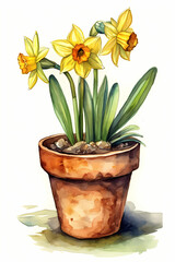 Botanical Watercolor Illustration of Daffodil in Pot. Generative AI