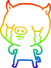 rainbow gradient line drawing cartoon pig crying