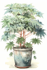 Botanical Watercolor Illustration of Japanese Aralia in Pot. Generative AI