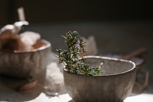 Fresh thyme