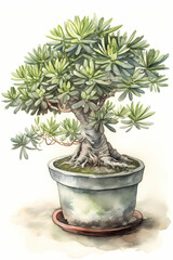 Botanical Watercolor Illustration of Monkey Puzzle Tree in Pot. Generative AI
