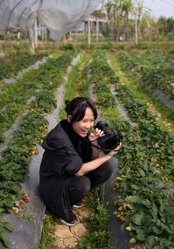 Asian girl practice photography in strawberry field