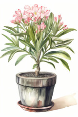Botanical Watercolor Illustration of Oleander in Pot. Generative AI