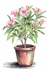 Botanical Watercolor Illustration of Oleander in Pot. Generative AI