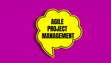 agile project management