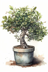 Botanical Watercolor Illustration of Privet in Pot. Generative AI