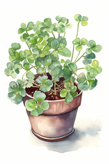 Botanical Watercolor Illustration of Shamrock in Pot. Generative AI