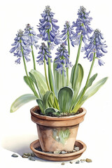 Botanical Watercolor Illustration of Spanish Bluebell in Pot. Generative AI