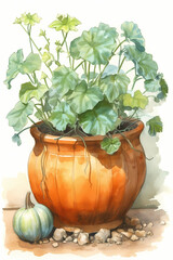Botanical Watercolor Illustration of Squash in Pot. Generative AI