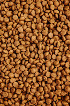 Dog food kibble