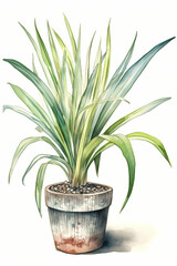 Botanical Watercolor Illustration of Sweet Flag in Pot. Generative AI