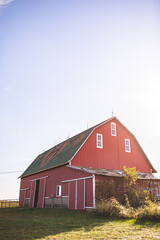 Red barn on sun sunshine sunny farm farmland