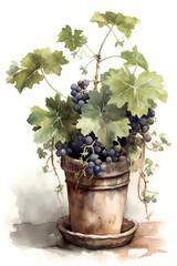 Botanical Watercolor Illustration of Wine Grape in Pot. Generative AI