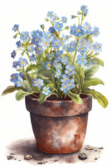 Botanical Watercolor Illustration of Wood Forget-me-not in Pot. Generative AI