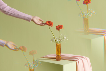 female hand trying to touch orange gerbera daisy in small glass vase