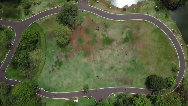 Parque Luiz Roberto Jabali - Curupira