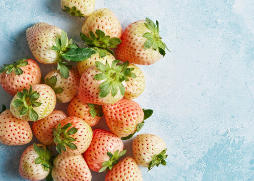 Arranged pineberries (white strawberries) on blue background