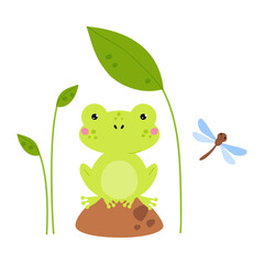 Happy Green Frog Sitting on Stone Under Green Leaf on Stalk Vector Illustration
