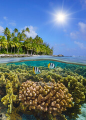 Coral reef with fish underwater and tropical island coastline, South Pacific ocean, French Polynesia, split view over and under water surface