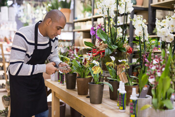 Fototapeta na wymiar Positive man cuts the leaves of flowers with scissors at flower shop