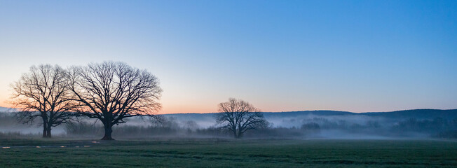 misty morning in the morning fog