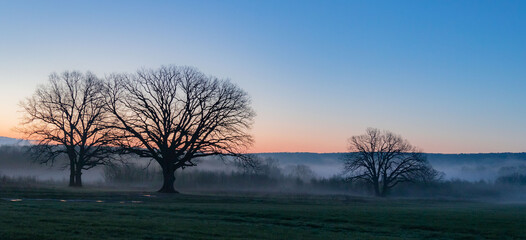 misty morning sunrise