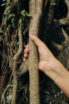 Female hand holding a tree trunk