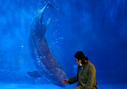 Asian man interacting with dolphins in aquarium