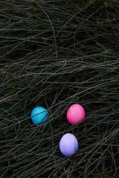 Multicolored Easter eggs among dry bush branches